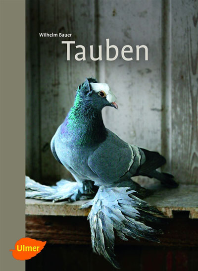 Tauben von Wilhelm Bauer